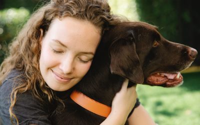 Mindful Moments Part 1: Practicing Mindfulness with Your Dog