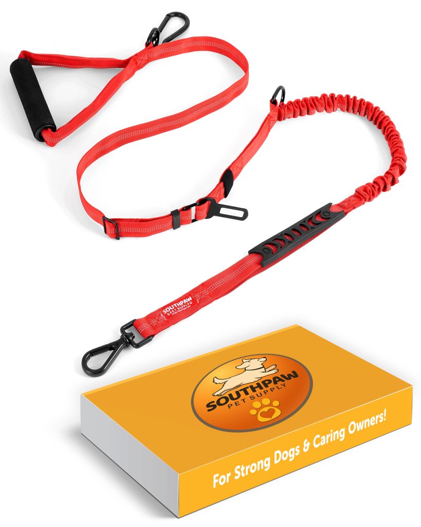 southpaw bungee leash