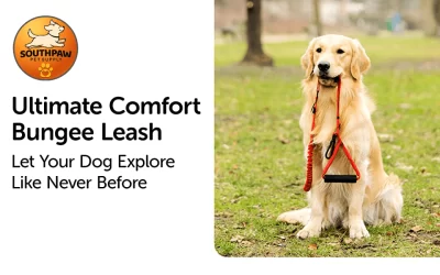 The Ultimate Comfort Bungee Leash