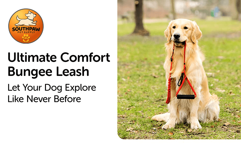 SouthPaw Pet Supply Ultimate Comfort Bungee Leash for large dogs, aggressive dogs, comfort handle, more control