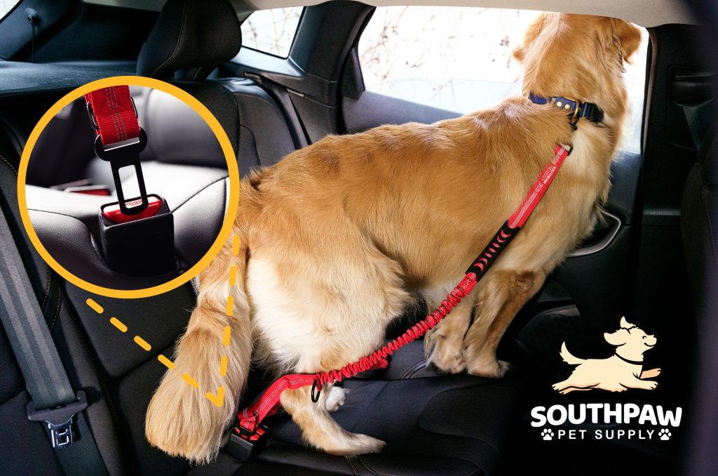 south paw pet supply ultimate comfort bungee leash dog latched to car